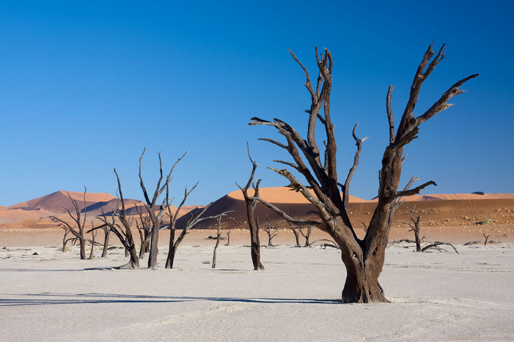 DeadVlei - Extremely Beautiful Destinations